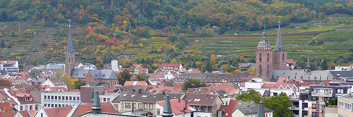 Neustadt / Weinstr. - Blick auf Stadtzentrum und historische Altstadt